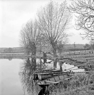 Drahtteich: vorn rechts Ruderboote im Wasser: hinten Mitte Bäume: hinten Wald