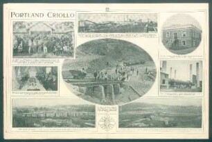 Portland Criollo