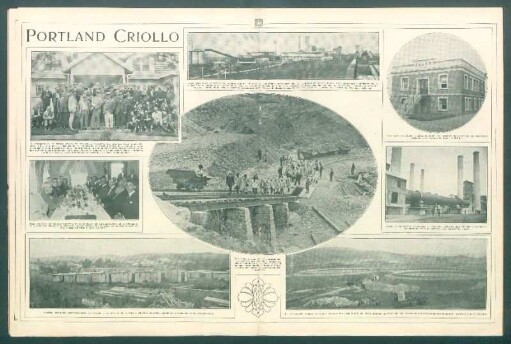 Portland Criollo