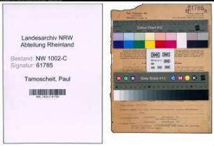 Entnazifizierung Paul Tamoscheit, geb. 12.02.1898 (Ingenieur)