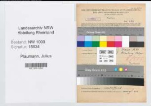 Entnazifizierung Julius Plaumann, geb. 12.05.1894 (Lagerarbeiter)