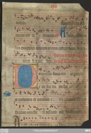 [Liturgisches Fragment (u. a. Introitus "Dominus secus mare Galilaeae")]