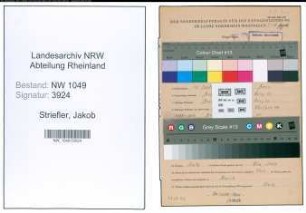 Entnazifizierung Jakob Striefler , geb. 15.09.1911 (Verwaltungsangestellter)