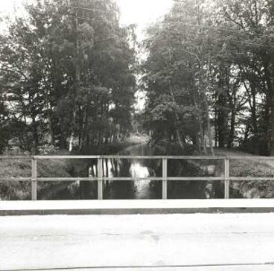 Niederlausitz. Hammerstrom. Kunstgraben. Blick von der Brücke vor Maust (Streckteich) stromauf nach Süden