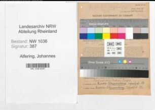 Entnazifizierung Johannes Alfering , geb. 12.07.1895 (Buerobeamter)