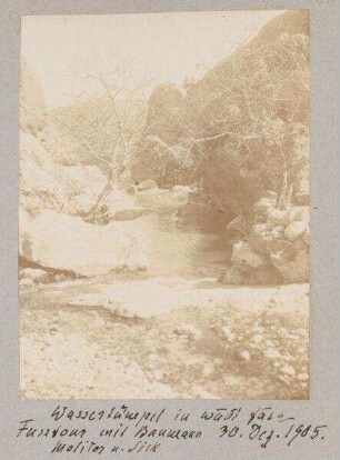 Wassertümpel im wadi fara Fusstour mit Baumann Molitor u. Sick [ain fara] 30. Dez. 1905