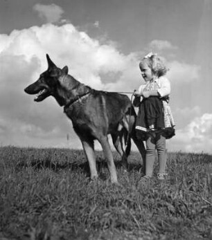 Kinderbilder. Kleines Mädchen mit Schäferhund