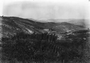 Hügellandschaft mit Plantage : Blick in eine hügelige Landschaft mit Baumplantage an den Hängen und Wirtschaftsgebäuden in der Bildmitte.