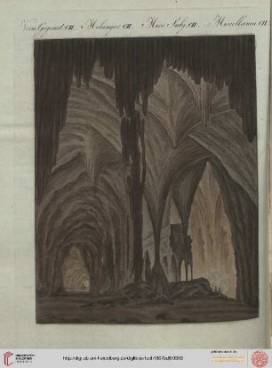 B.VI. No. 51 - B.VI. No. 60