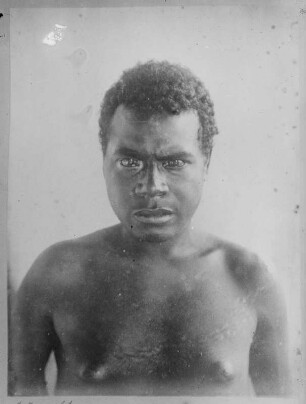 Mann der Papua (Sammlung Richard Wegner 1869/1931)