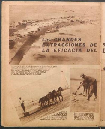 Las grandes extracciones de sal, estan perjudicando la eficacia del Lago Epecuen [Fotografías]