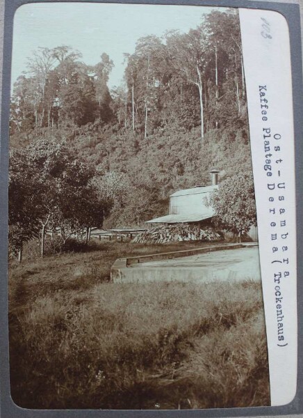 Est d'Usambara. Plantation de café Derema (Tockenhaus)