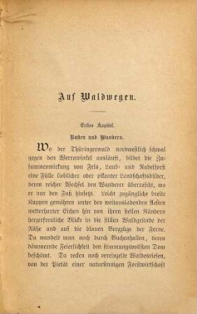 Auf Waldwegen