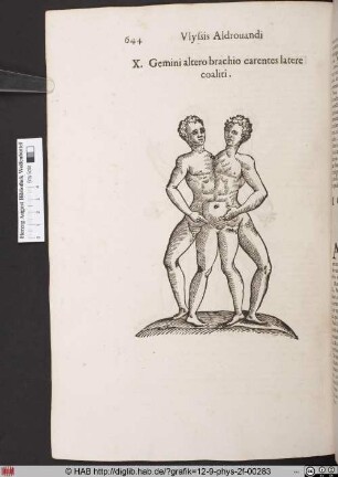 Gemini altero brachio carentes latere cialiti.
