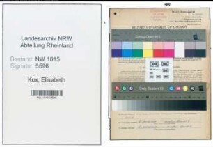 Entnazifizierung Elisabeth Kox , geb. 19.06.1919 (Kauffrau)