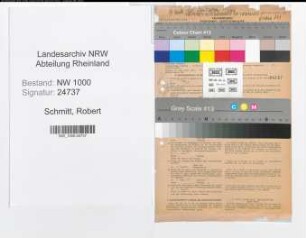 Entnazifizierung Robert Schmitt, geb. 01.01.1895 (Bankdirektor)