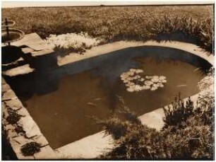 Garten Reinicke, Berlin-Zehlendorf: Wasserbecken