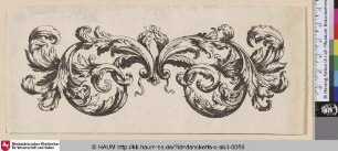 [Akanthus-Ornament]
