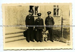 Wehrmachtssoldaten mit Schäferhund