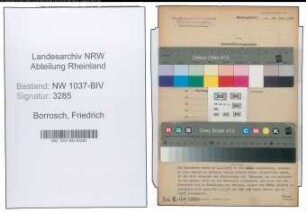 Entnazifizierung Friedrich Borrosch , geb. 20.08.1903 (Amtsgehilfe)