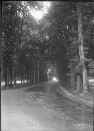 Rennstrecke Solitude Ansicht vom Juli 1927