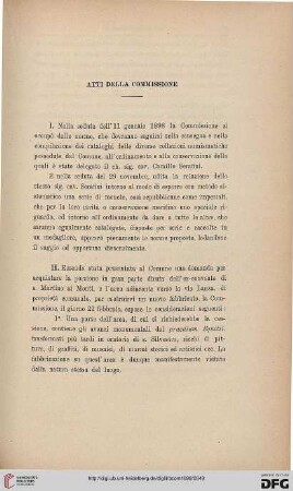Atti della Commissione