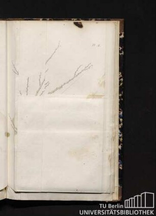 Pl. II. 4e. Taille.
