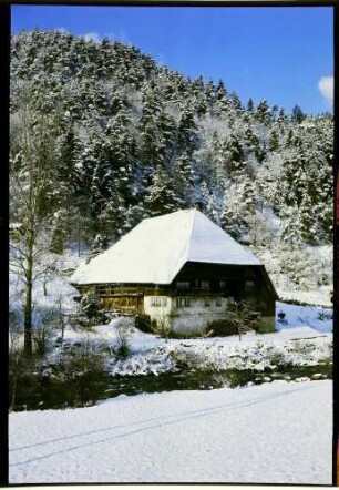 Niederwasser: alter Schwarzwaldhof