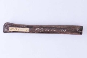 Knöcherne Tülle (Handgriff)