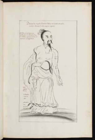 Figura membrorum principalium et minus principalium