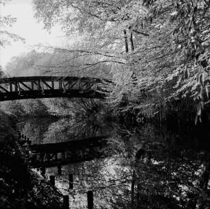 Beste: Kurpark: links Holzbrücke: hinten Büsche und Bäume