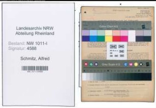 Entnazifizierung Alfred Schmitz , geb. 24.04.1890 (Chefdolmetscher)