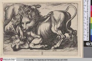 [Löwe, einen Stier angreifend; Lion Attacking Bull]