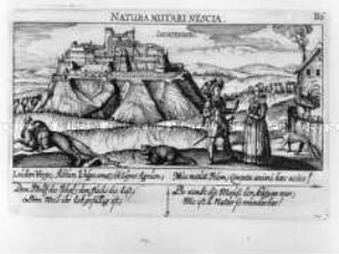 Lichtenberg (Elsaß), Ansicht mit Szene (aus Fürst, Sciographia Cosmica, Nr. B 6)