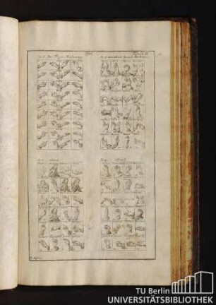 Tabula II. Der Finger Rechnung. Und Hände Sprach.