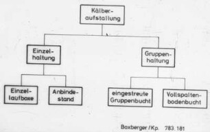 Verfahren für die Kälberaufstallung