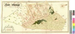 Böck (Böök), Neuenhof (Nienhoff) Amt/Distrikt Oder/Randow