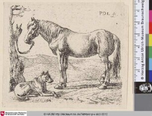 [Angebundenes Pferd mit liegendem Hund; The Horse and the Dog; Paard en hond in een weide]