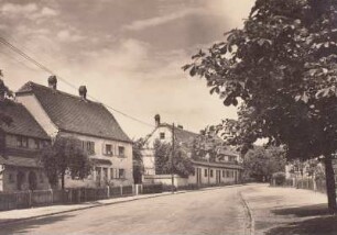 Am Grünen Zipfel : Dresden-Hellerau. Westliche Gartenseite der Straße Am Grünen Zipfel