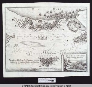 Eigentliche Abbildung der Battalien, zwischen den Schwedisch. und der Alirten Dänischen, und Holländischen Armeen in der Inßul Fünen, Anno 1659. im [.]bris