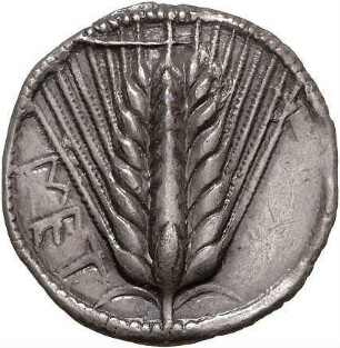 Metapont