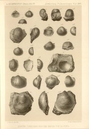 Kayser, Obercarbonische Fauna von Lo-ping