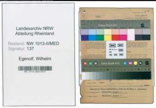 Entnazifizierung Wilhelm Egenolf , geb. 07.05.1889 (Arzt)