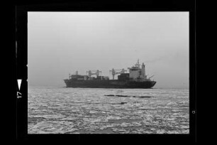Caledonia (1979), Frachtschiff, Christian F. Ahrenkiel, Hamburg , Bau-Nr. 125
