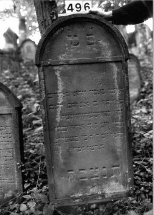 Grabstein 496 (Index: 99803822) Material: Sandstein Zustand: außen leicht verwittert Maße HxBxT: 133x59x10 cm Beschreibung: Stele mit verdachtem Rundnbogen, profilierter Rand, Giebelfeld: Grabstein 496