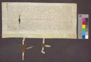 Henmann Meli gen. Klapper zu Rheinfelden verkauft an Berthold Dürr daselbst eine Gült von 2 1/2 Viernzel Dinkel, 1 Viernzel Hafer, zwei Herbst- und Fastnachthühnern, dreißig Eiern und 2 Schilling Pfennigen von einer Schuppose zu Degernfelden um 61 Pfund Pfennige.
