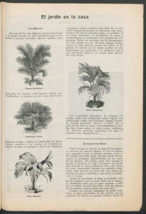 El jardín en la casa