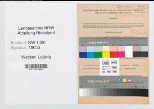 Entnazifizierung Ludwig Wacker, geb. 08.04.1901 (Abt.Leiter)