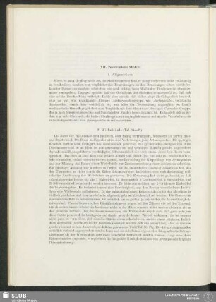 XII. Postcraniales Skelett