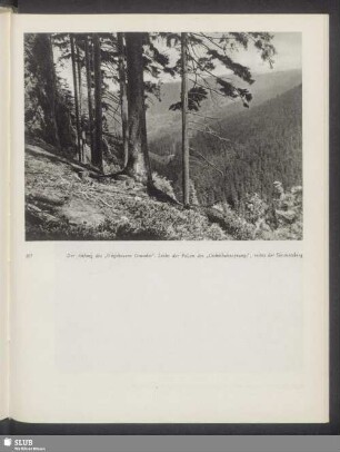 Der Anfang des "Ungeheuern Grundes"